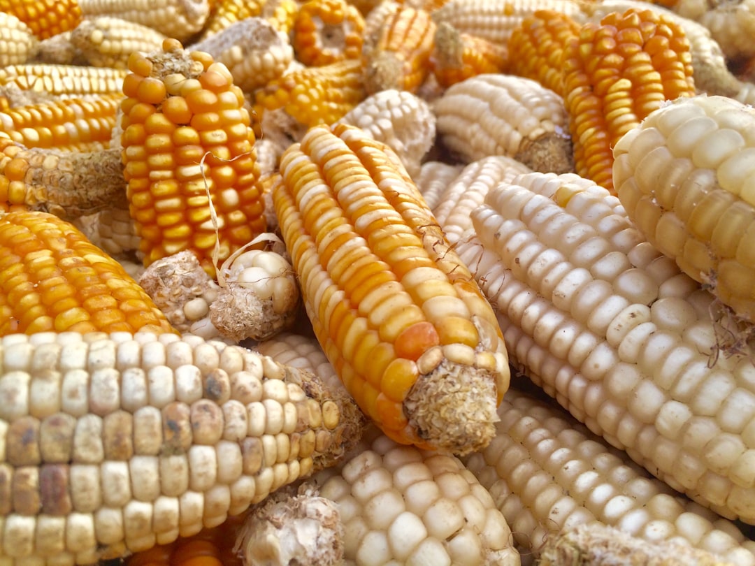 agricultural commodities market trading charts crops