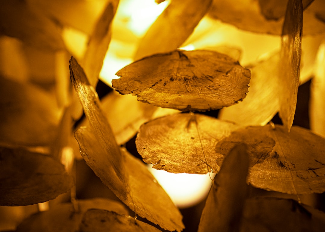 commodity prices chart 2026 global raw materials market trends