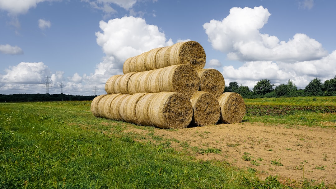 farmland investment ETF portfolio agricultural stocks diversification strategy