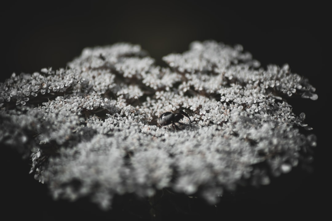 lithium cobalt rare metal mining battery technology 2026