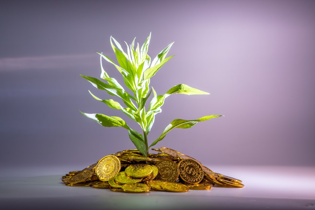 beginner commodity futures investment strategy portfolio diversification
