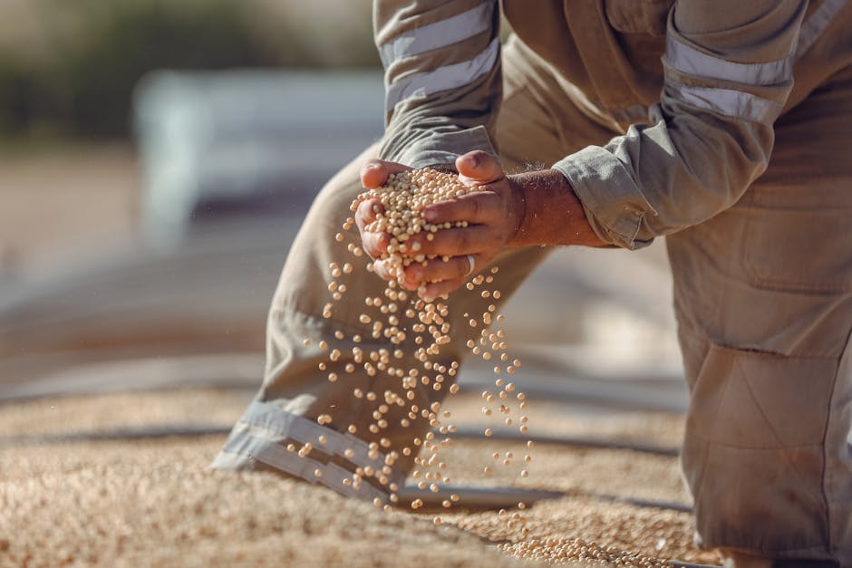 commodity portfolio diversification strategy agriculture ETF