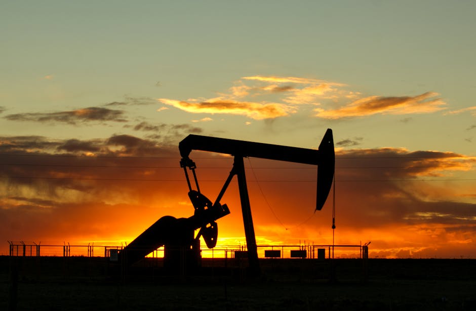 OPEC oil market 2026 energy transition gold safe haven