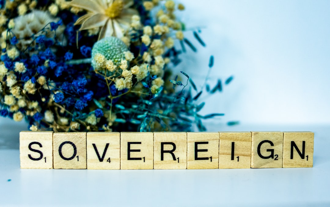 sovereign debt maturity wall emerging markets 2026 2027, EMDE bond refinancing